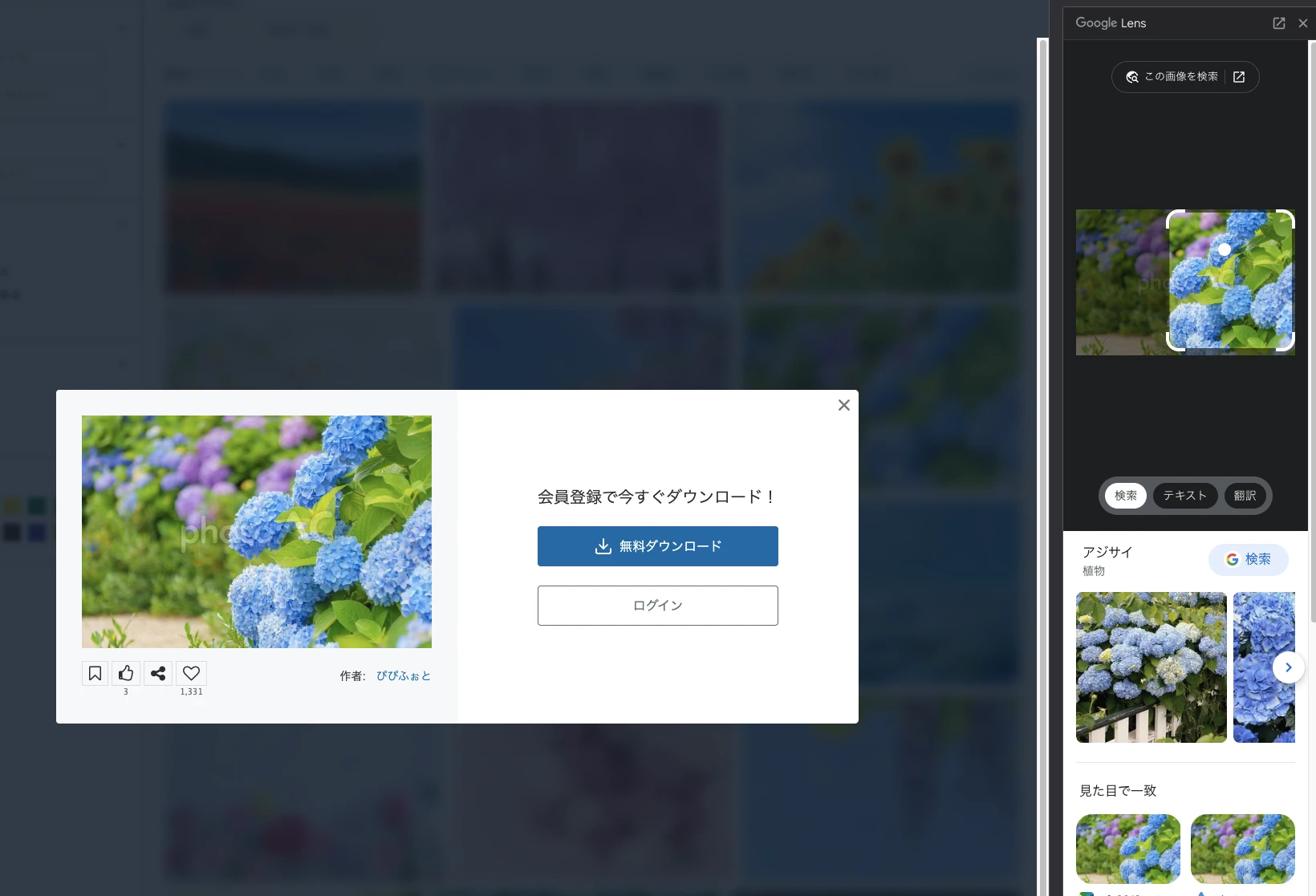 e91c02f4942b31aed7074b2f596946db